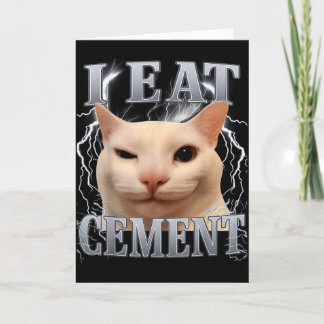 Jag äter cement dumma katt meme roliga män kvinnor kort