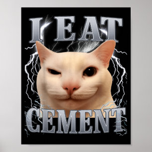 Jag äter cement dumma katt meme roliga män kvinnor poster