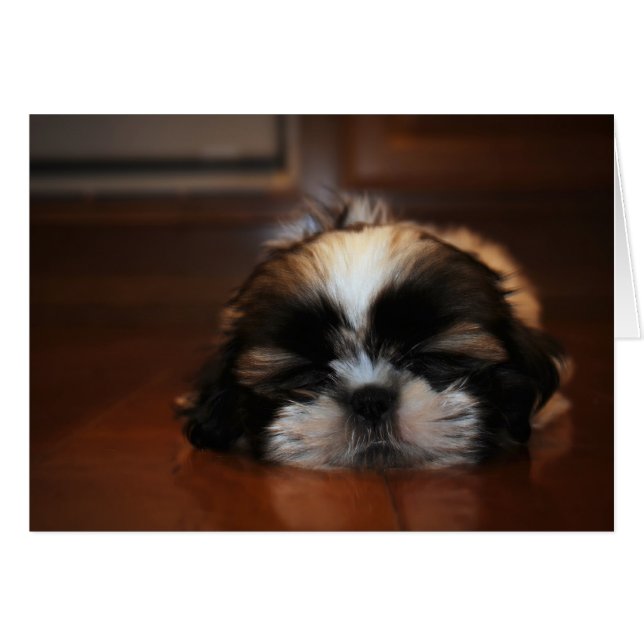 Jag återställer mitt Ögon-blankkort. OBS Kort (Framsidan Horizontal)