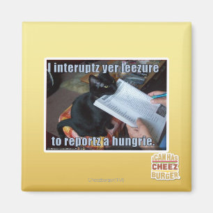 Jag avbryter yer Leezure Magnet