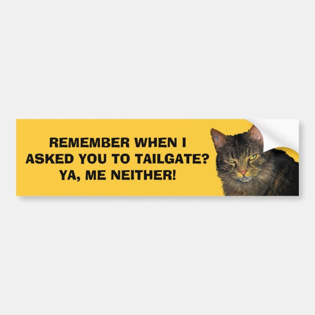Jag bad dig inte köra tätt inpå - Grumpy Angel Cat Bildekal (Framsidan)