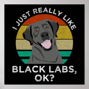 Jag bara Verkligen som Black Labs, okej? Poster