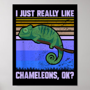 Jag bara Verkligen som Chameleons... Okej, nota Li Poster
