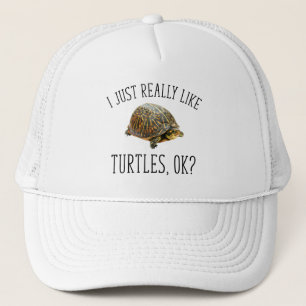 Jag bara Verkligen som Turtles, okej? Keps