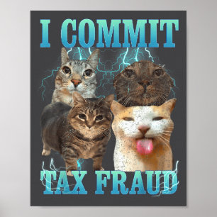 Jag begår skattebedrägeri Rollig Katt Meme Bootleg Poster