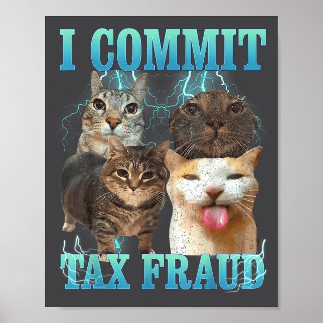 Jag begår skattebedrägeri Rollig Katt Meme Bootleg Poster (Framsidan)