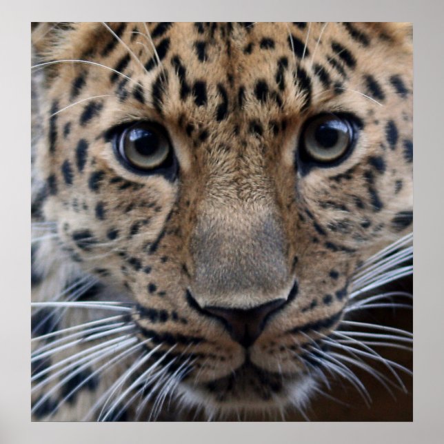 Jag behöver dig... poster (Framsidan)