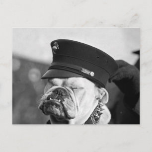 Jag behöver en karta: 1923 vykort