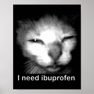 Jag Behöver Ibuprofen Katt Meme Roligt Dum Katt Ir Poster