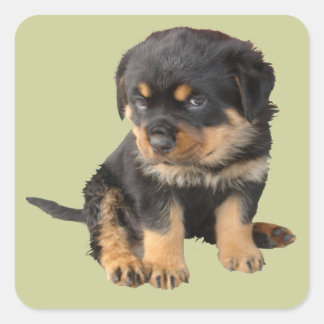 Jag behöver inte få veta att jag är tyst fyrkantigt klistermärke