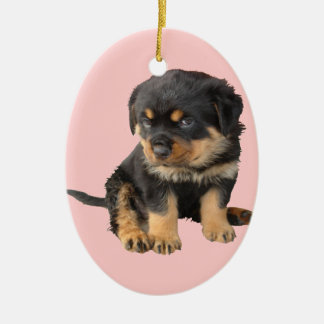 Jag behöver inte få veta att jag är tyst julgransprydnad keramik