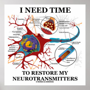 Jag behöver tid att återställa mina neurotransmitt poster