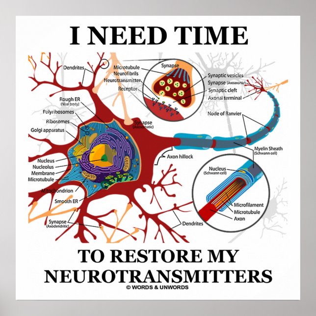Jag behöver tid att återställa mina neurotransmitt poster (Framsidan)