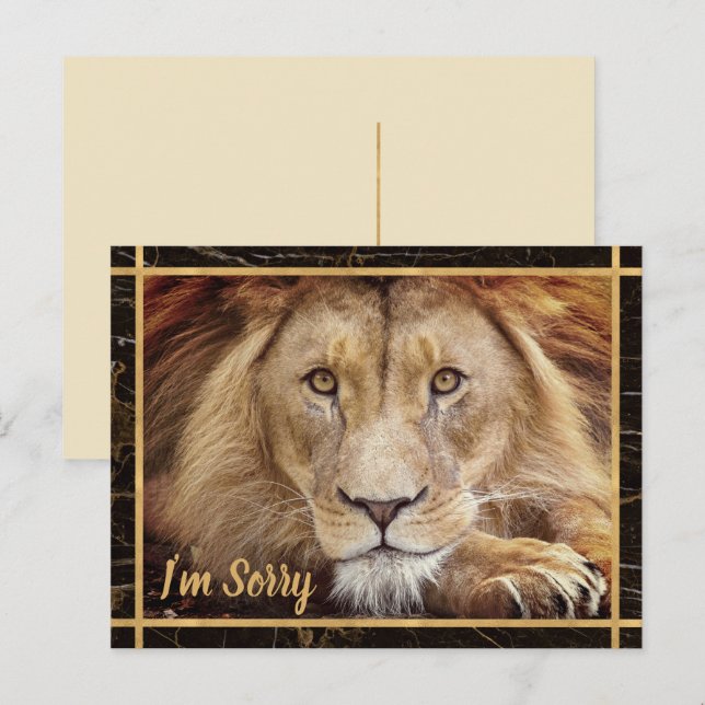 Jag beklagar Lejon fotobild Vykort (Fram/baksida)