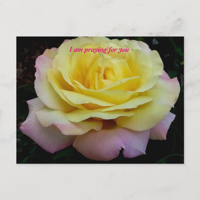 Jag ber för er vykort (Framsida)