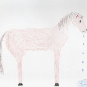 Jag ber om ursäkt. Horse Spittle Card Kort