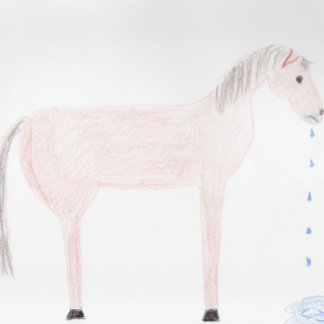 Jag ber om ursäkt. Horse Spittle Card Kort