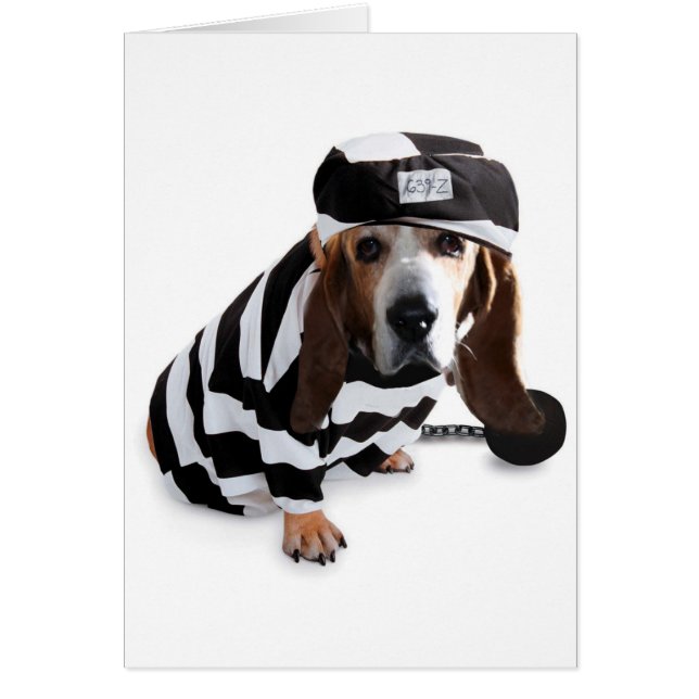 Jag betydde inte det… hälsningskort (Framsidan)