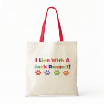 Jag bor med en Jack Russell
