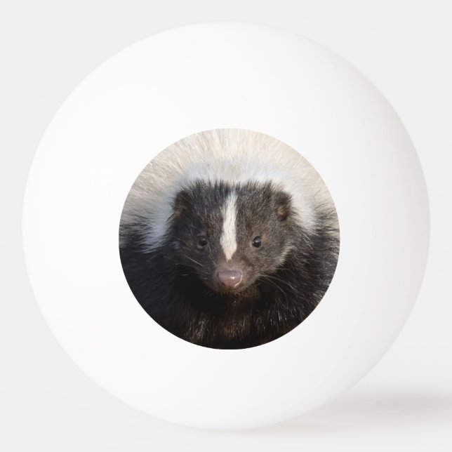 Jag börjar med Ping Pong Pingisboll (Framsidan)