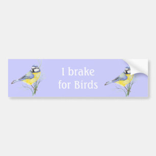 Jag Brake for Birds, Watercolor Common Bird Bildekal