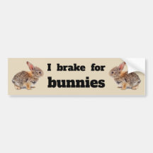 Jag Brake for Bunnies