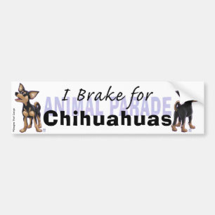 Jag Brake för Chihuahuas Bildekal