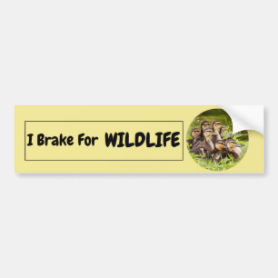 Jag Brake för Wildlife Bildekal
