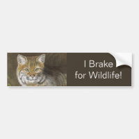 Jag Brake för Wildlife Bobcat