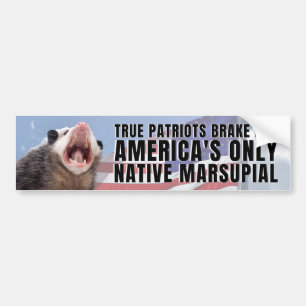 JAG BROKAR FÖR AMERIKAS ENDA NATIVA MARSUPIAL BILDEKAL