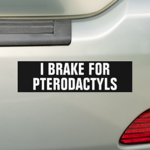 JAG BROKAR FÖR PTERODACTYS BILDEKAL