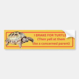 Jag Broke for Turtles Bildekal