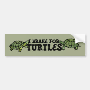 Jag Broke for Turtles Bildekal