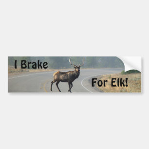 Jag bromsar för älgbildekal bildekal