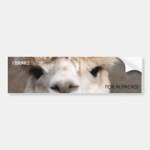 JAG BROMSAR, FÖR ALPACAS! BILDEKAL