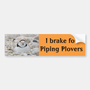 Jag bromsar för att leda i rör Plovers Bildekal