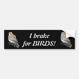 Jag bromsar för Birds Kestrel eller Falcon Waterco Bildekal