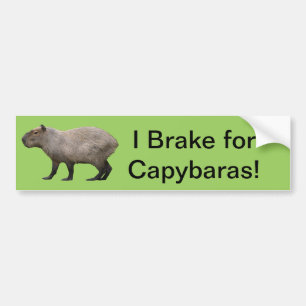 Jag bromsar för Capybara Bildekal