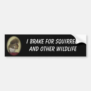 Jag bromsar för ekorrar dekal
