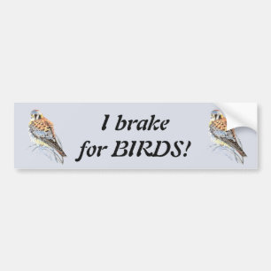 Jag bromsar för fåglar - Birding Kestrel Watercolo Bildekal