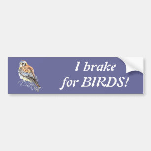 Jag bromsar för fåglar - Birding Kestrel Watercolo Bildekal