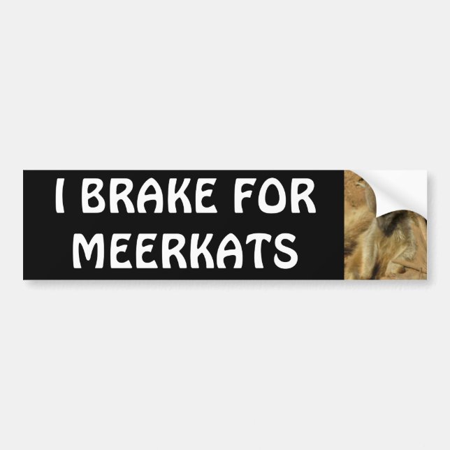 JAG BROMSAR FÖR MEERKATS BILDEKAL (Framsidan)