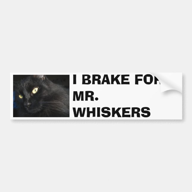 JAG BROMSAR FÖR MR. WHISKERS BILDEKAL (Framsidan)