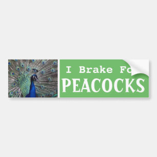 Jag bromsar för PEACOCKS Bildekal