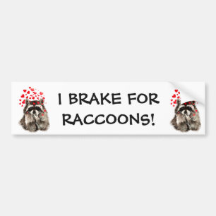 Jag bromsar för RACCOONS FUNNY ANIMAL QUOTE Bildekal