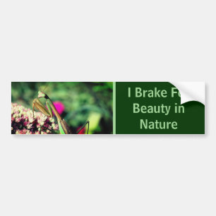 Jag bromsar för skönhet Bönsyrsa Natur Bildekal