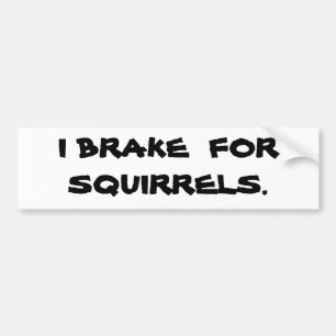 JAG BROMSAR FÖR SQUIRRELS. BILDEKAL