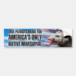 Jag bromsar för USA:s enda inhemska marsupial, Lus Bildekal
