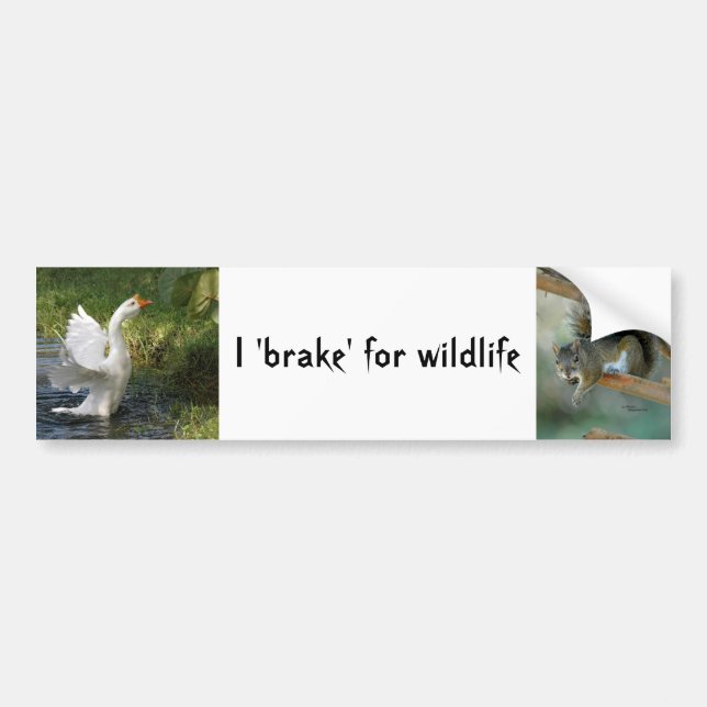 Jag bromsar för vilt Goose Squirrel Bumper Sticker Bildekal (Framsidan)