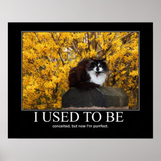 Jag brukade vara.. Cat Artwork Funny Poster